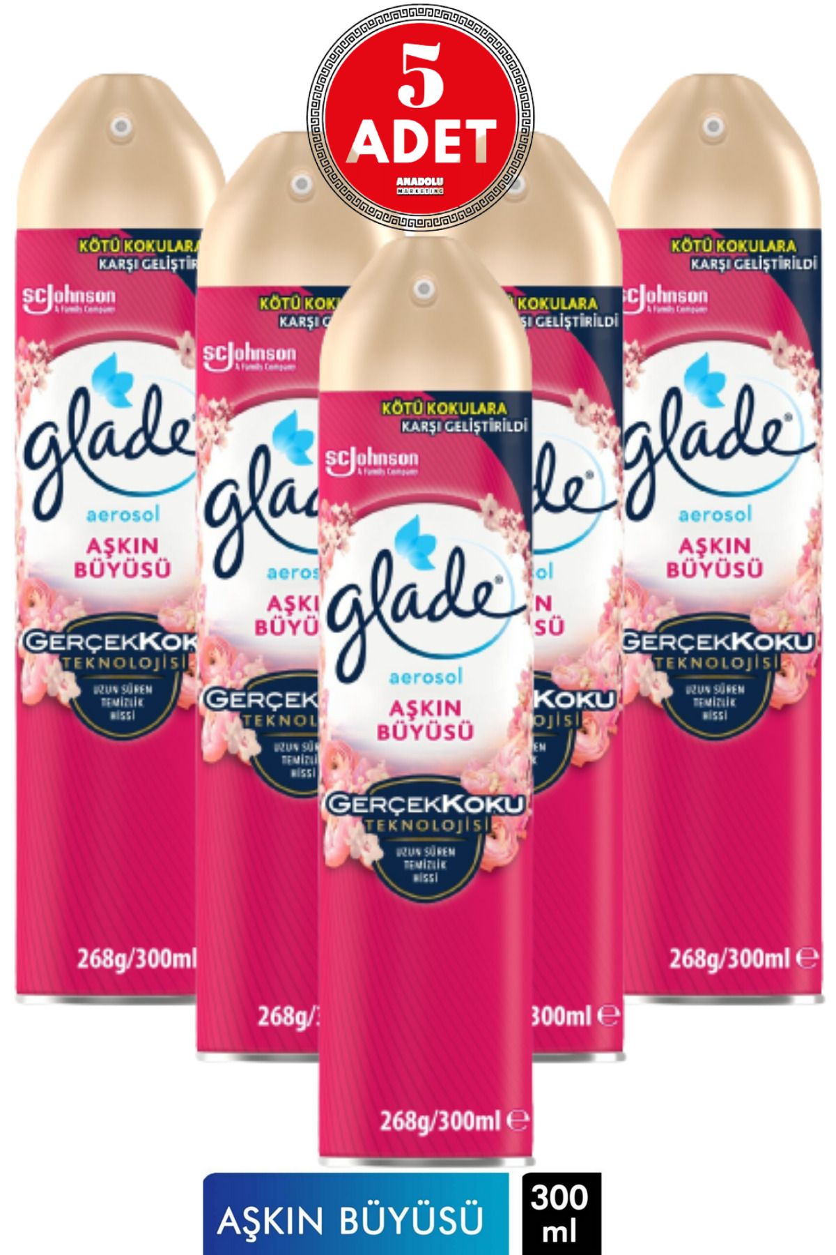 Aerosol Oda Kokusu Aşkın Büyüsü 300 ml 5 Adet