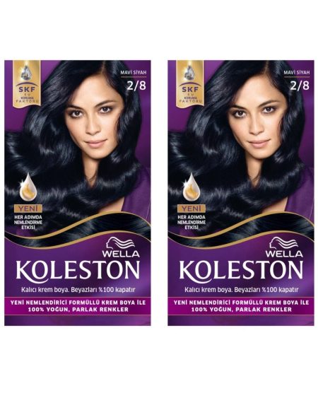Koleston 2 Li 2/8 Mavi Siyah Kit Boya