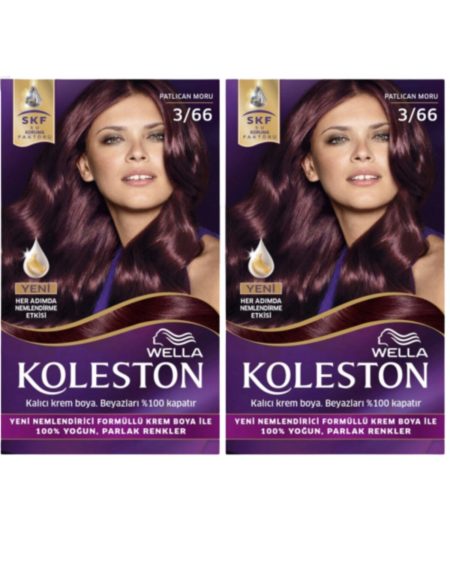 3/66 Kit Patlıcan Moru Saç Boyası 2’li