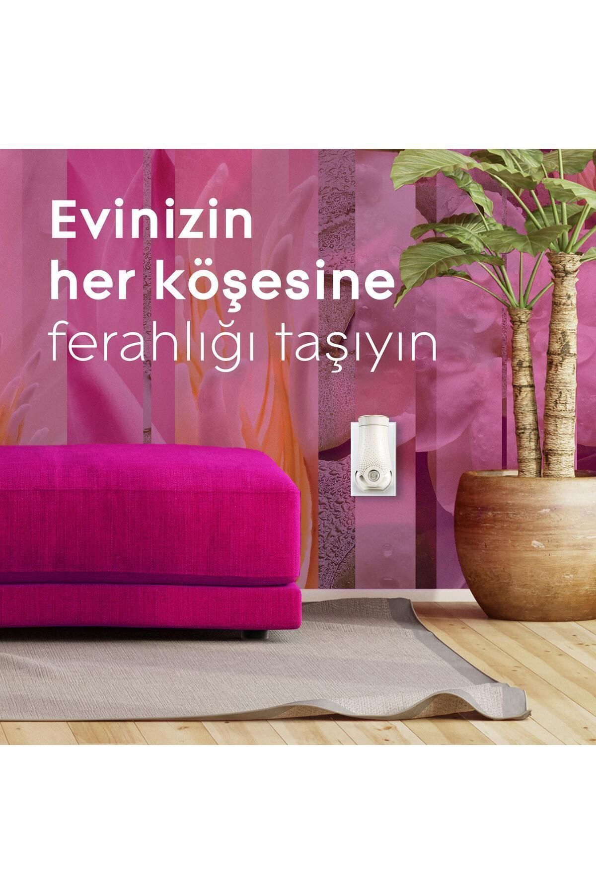 Elektrikli Oda Kokusu Kit Bahar Çiçekleri - Görsel 6