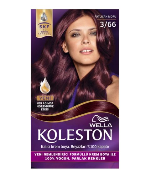Koleston 3/66 Kit Boya Patlıcan Moru