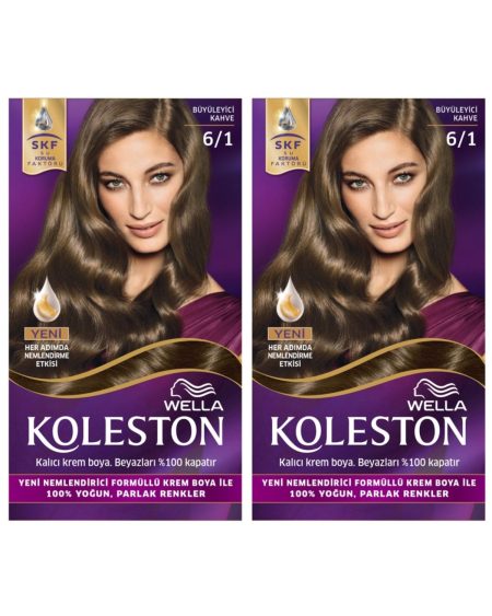 Koleston Büyüleyici Kahve  Kit Boya 6/1 2li
