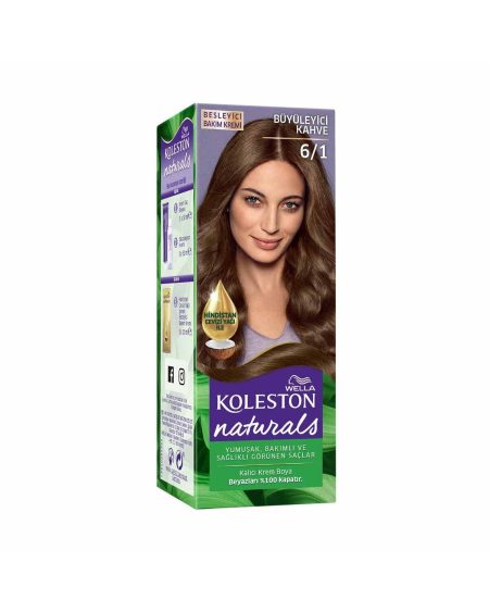 Koleston Naturals Saç Boyası 6/1 Büyüleyici Kahve