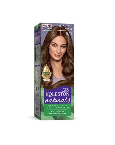 Naturals Saç Boyası Büyüleyici Kahve 6/1