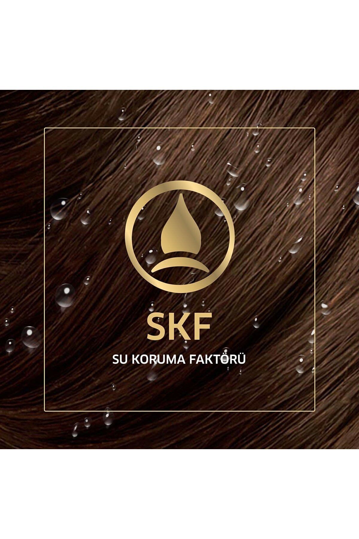 Kıt 6/1 Büyüleyici Kahve - Görsel 3