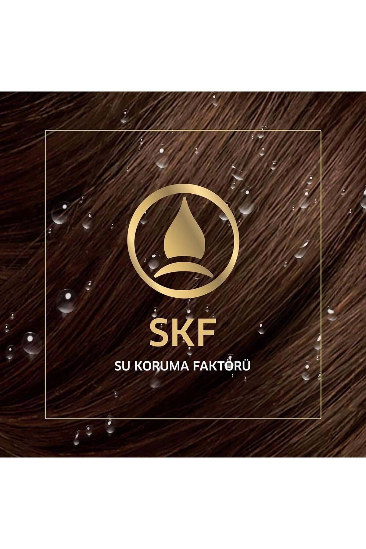 Koleston Kit .5/4 Açık Kestane - Görsel 4