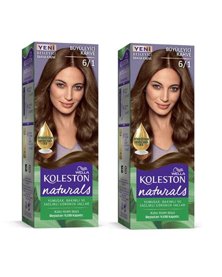 Naturals Saç Boyası Büyüleyici Kahve 6/1 2x Paket