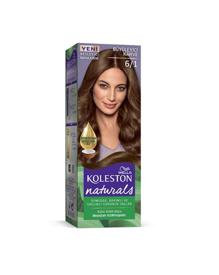 Naturals Saç Boyası Büyüleyici Kahve 6/1